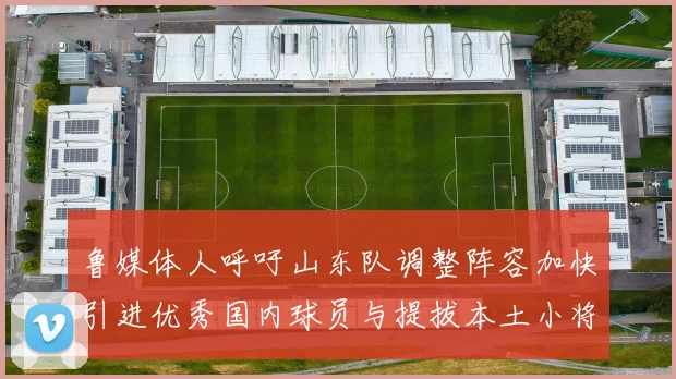 鲁媒体人呼吁山东队调整阵容加快引进优秀国内球员与提拔本土小将
